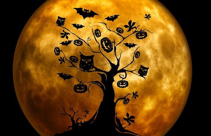 ett halloween träd med ugglor, pumpor och fladdermöss fullmåne i bakgrunden