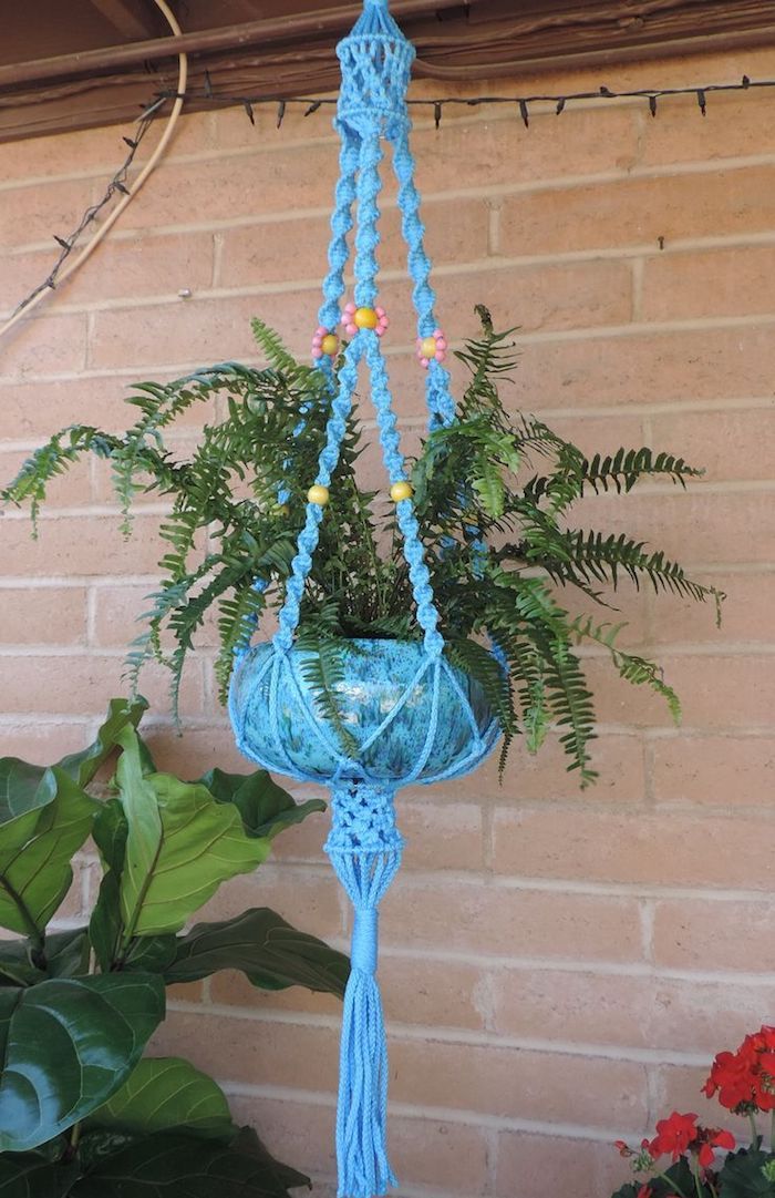 Hangeam selv gjør bleu og grønn kombinere vakre deco design planter