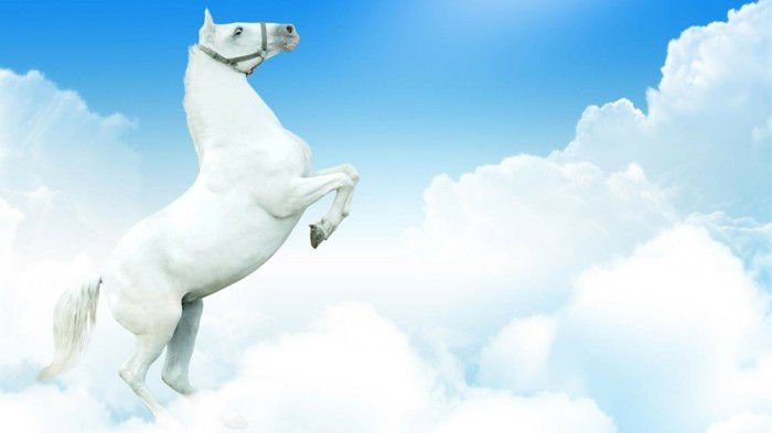 vakre-vakre-hest-bilder-hvitt-horse-in-the-skyer-veldig kunstnerisk-image-