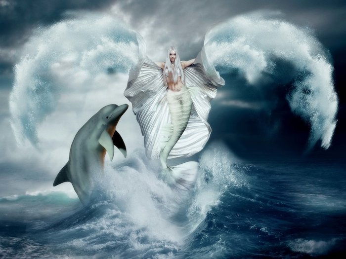 senný obrázok so sivým delfínom a biela morská panna s bielou sukňou a bielymi krídlami