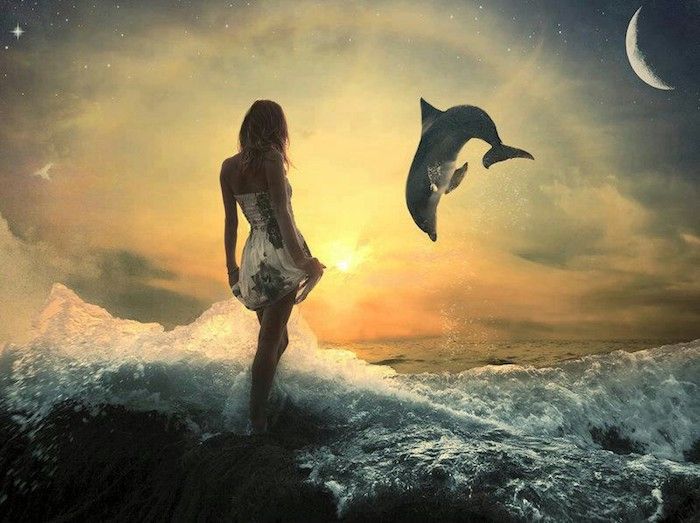 obrázky s delfínmi - tu je rozprávkový obraz s mladým frázom, veľkým mesiacom, západom slnka, malými hviezdami, morom, vlnami a sivým delfínom