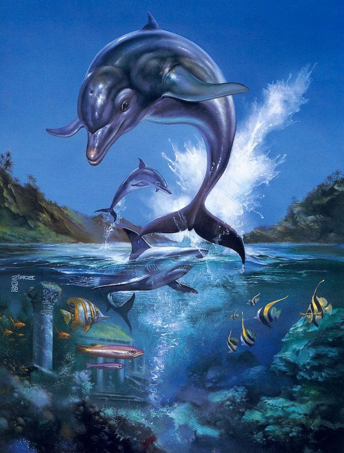 unikátny obrázok so šedými delfínmi, ktorý skočí a veľký modrý hai a malé plávajúce žlté a oranžové ryby
