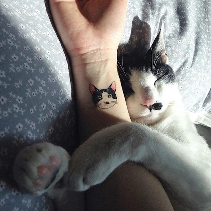 Biały kot z różowym nosem i dłonią z małym tatuażem na nadgarstku
