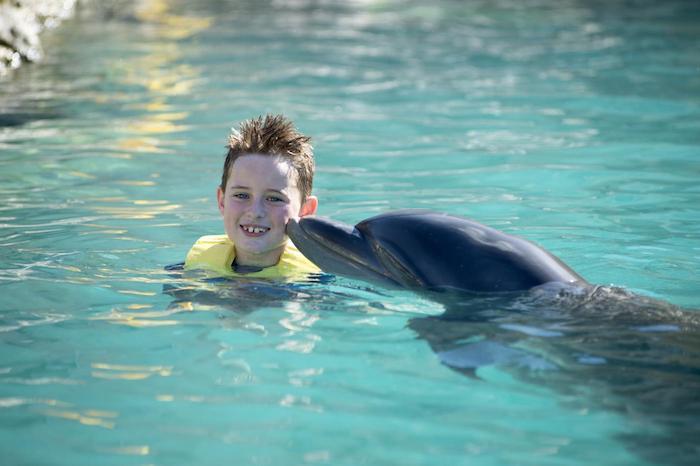 Pozrite sa na tento obrázok s dieťaťom a veľkým šedým delfínom, ktorí plávajú spolu v modrom bazéne s vodou