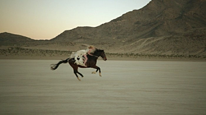 Fotografii interesante de frumos cal cal-tapet-turbat