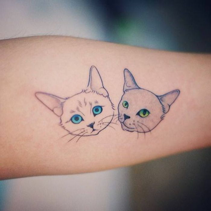 może ci się spodobać ten tatuaż dla dwóch małych kotów - tu są dwa małe koty - kot o niebieskich oczach i kot o zielonych oczach