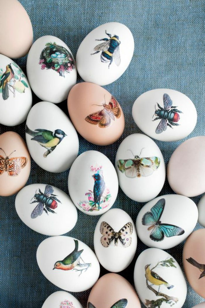 modelos de tatuagem pequenas tatuagens coloridas sobre os ovos fazem fotos coloridas de pássaro borboleta em branco