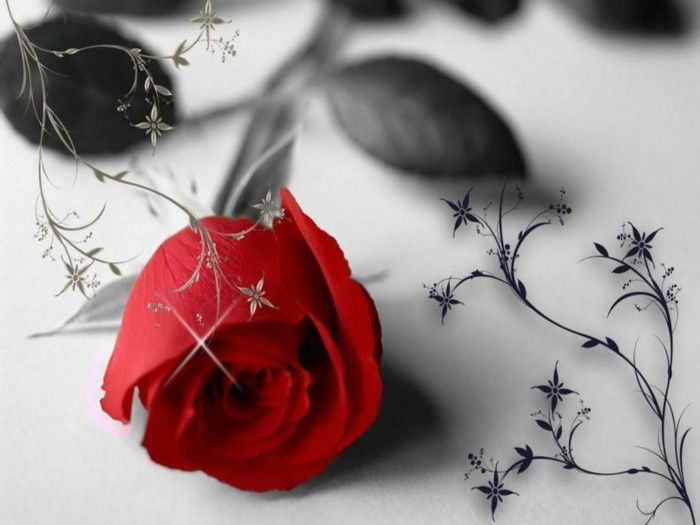 gratis bakgrundsbild valentine-romantic-röd-rosor