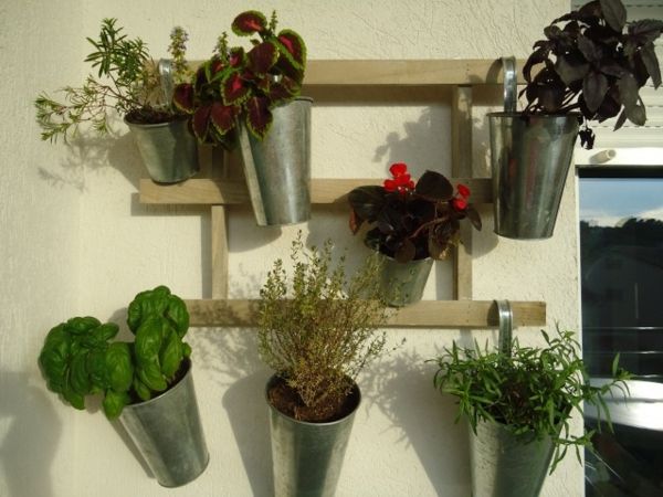 Suspensor Krautergarten-balkon planten vertically-