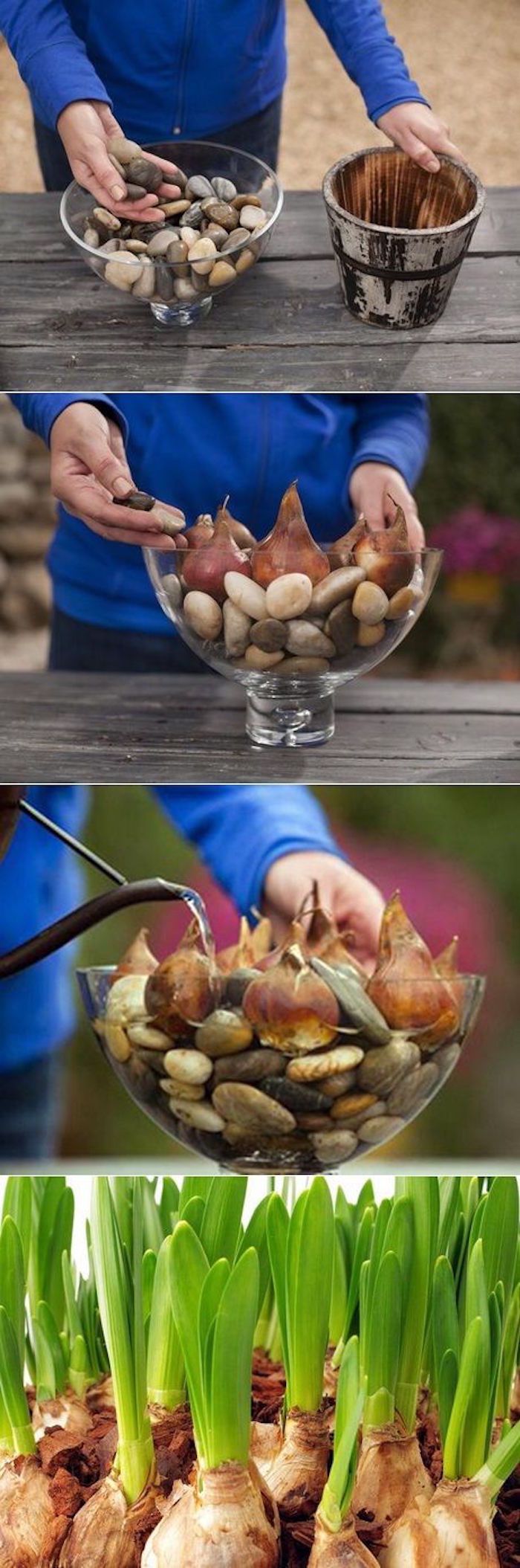 Idee creativă, bulbi de flori în sticlă cu pietre deco