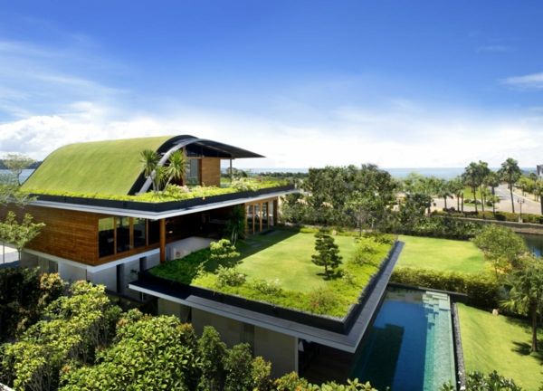 konstig-house-med-mycket grönt gräs-on-the-taket