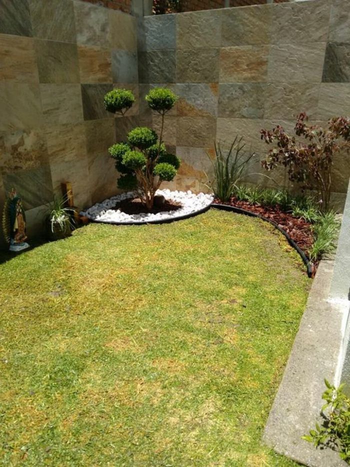 Moderný dizajn záhrady - okrasný strom v rohu, zelený trávnik, malé biele kamene