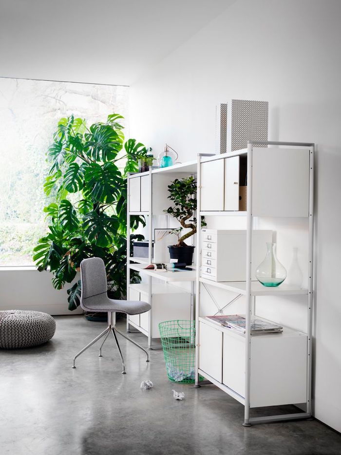 belo estudo compacto branco com Monstera no canto - plantas da casa para pouca luz