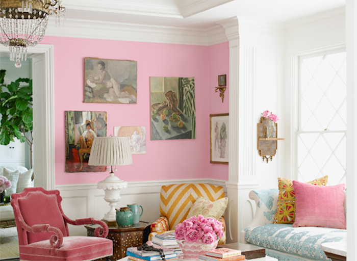 uma sala grande com decoração de begônias com paredes cor-de-rosa e plantas de travesseiros que precisam de pouca luz