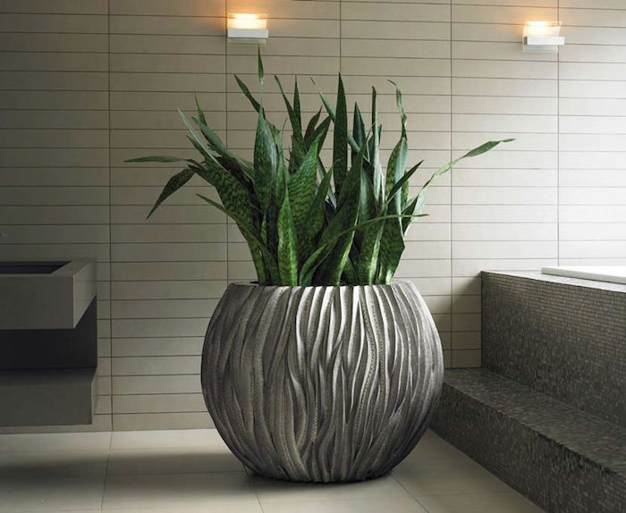 um grande vaso de flores com plantas para quartos escuros em um banheiro moderno