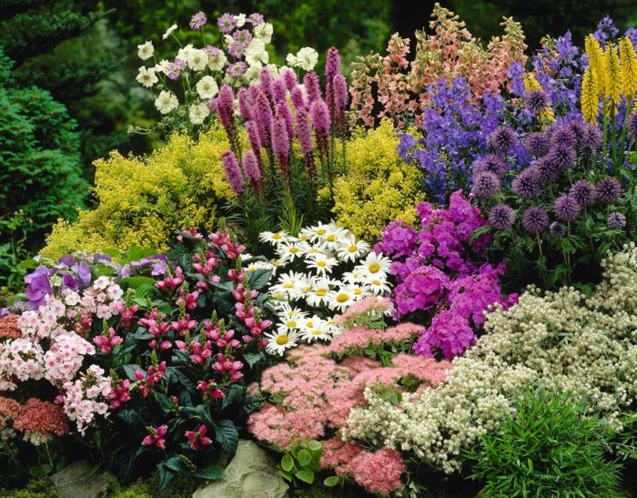vertikálna záhrada s levanduľou a ďalšie kvety v veselých farbách terénne záhradné postele