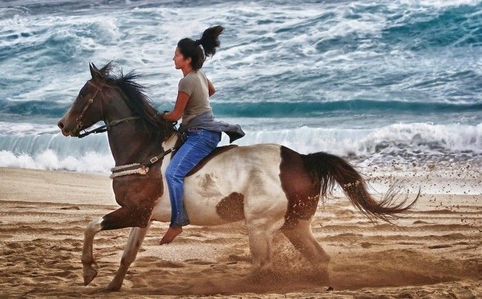 Kule kvinnen rider en stor hest i hvitt og brunt