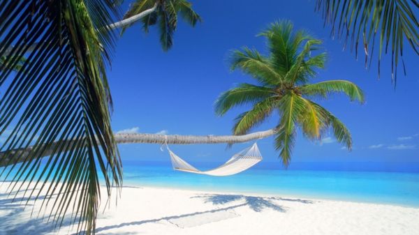 travel-maldive-travel-maldive-vacante-maldive-travel-maldives-vacation-tips ---