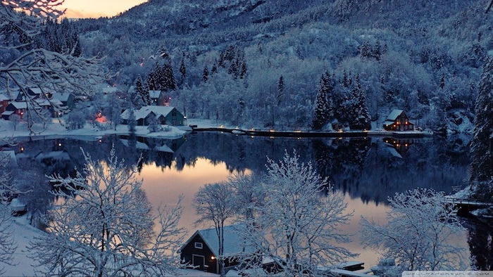 una foresta con molti alberi con la neve - un lago e una casetta - bella foto d'inverno