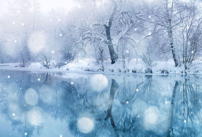 un lago blu e una foresta con molti alberi con la neve - immagini romantiche invernali