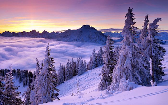 un paesaggio invernale con montagne con neve e nuvole - una foresta con molti alberi e neve