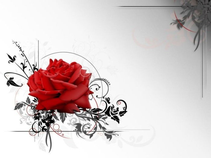 nice-intressant-valentine tapeter stor-röd-rose