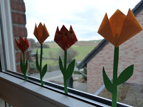 piękny-tulipan-Tinker-the-okno