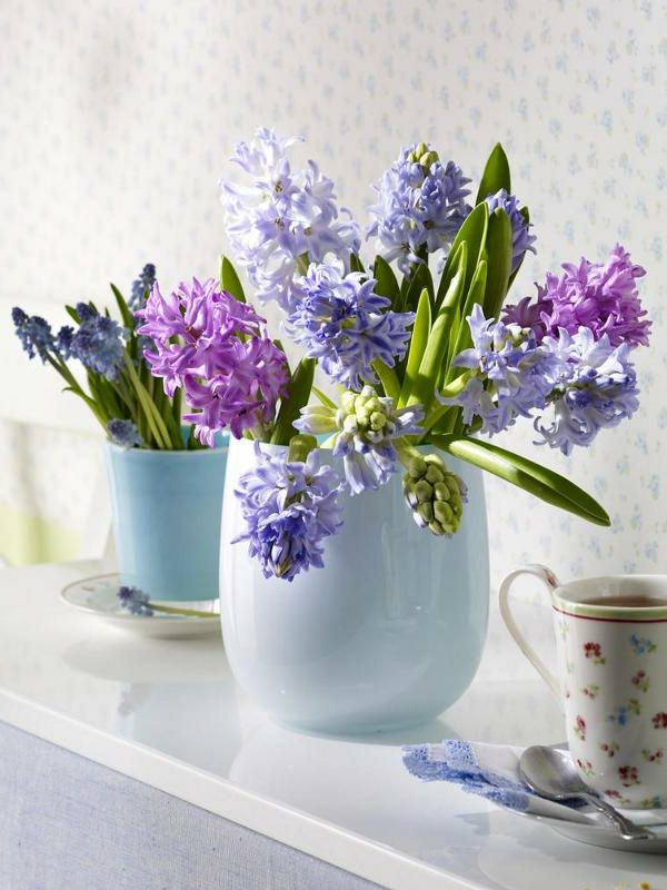 Rezané kvety-in-vázy