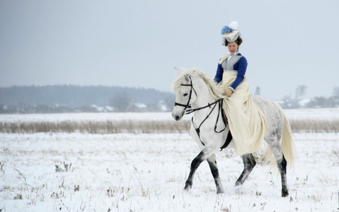 labai-gražus arklys-in-snow