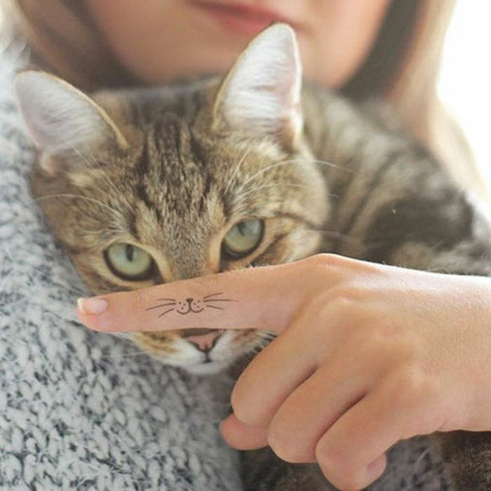tatuagem ombro mulher gato com olhos verdes pequena tatuagem discreta colete nariz animal cuddle