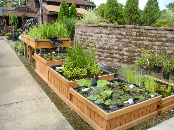 rybník-rastliny-efektné-idee
