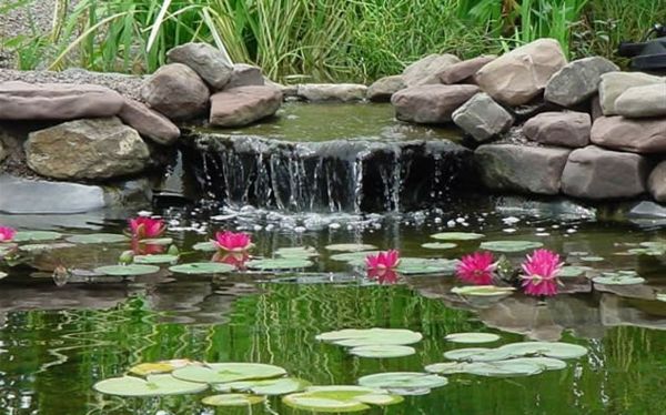 rybník-rastliny-with-a-vodopádu