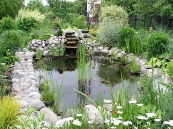 rybník-rastliny-obklopený-stones-