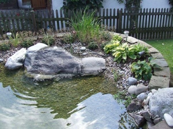 rybník-rastlín veľmi dobrý dizajn