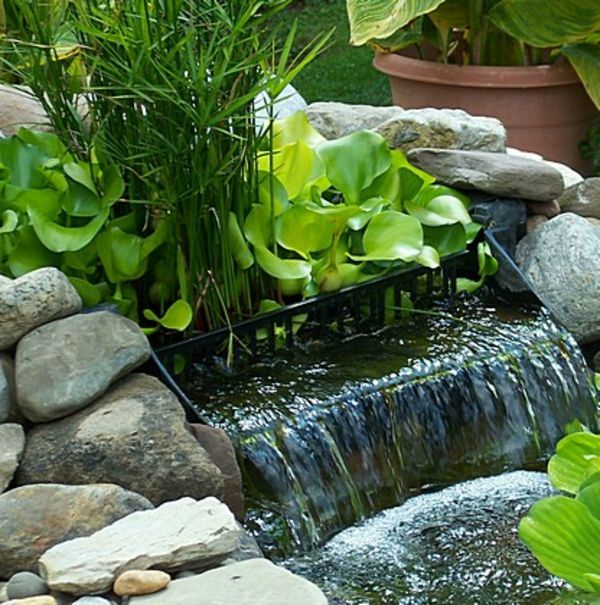 rybník-rastliny-super-navrhol