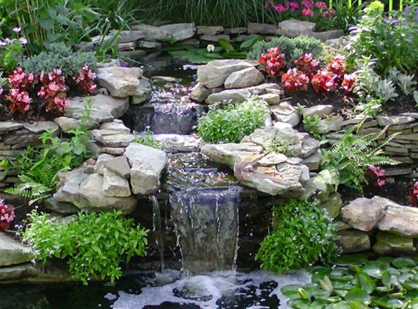 rybník-rastliny-and-many kamene