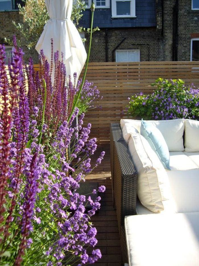 dizajn terase ideje kavč iz rattan bele dekolte blazine mehke udobne lavande rože vijolične