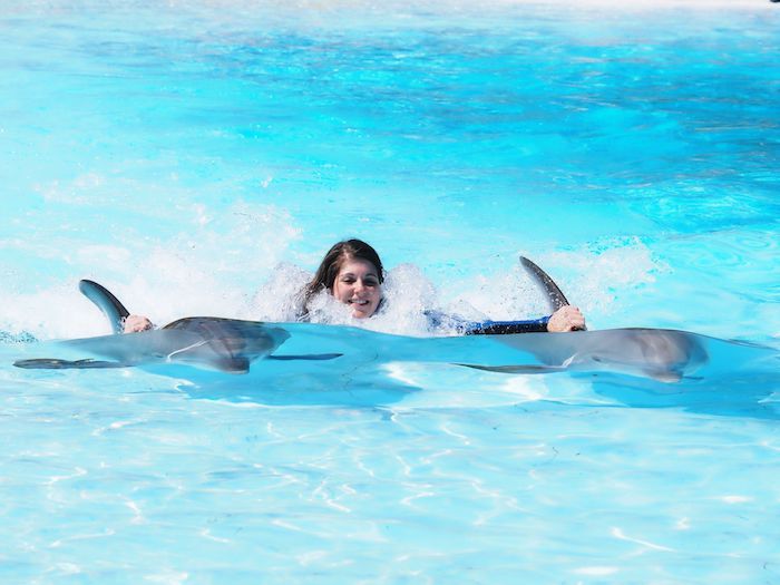 Mladá žena pláva spolu s dvoma šedými delfínmi v bazéne s jasnou modrou vodou - plávanie na tému delfínov