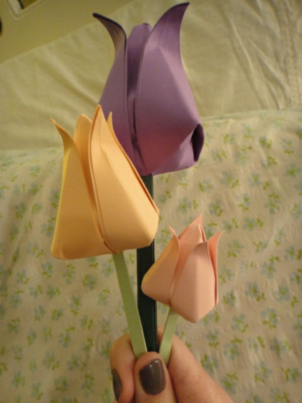 tulipanowy majsterkowanie - purpurowy i pomarańczowy - zabiera ją kobieta