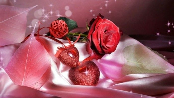 valentines tapet rose-purpurfärgad bakgrund