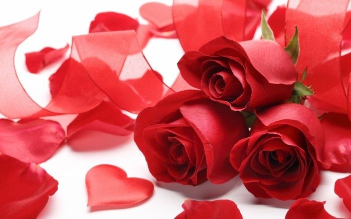 valentines tapeter unikaler-bukett-of-röd-rosor