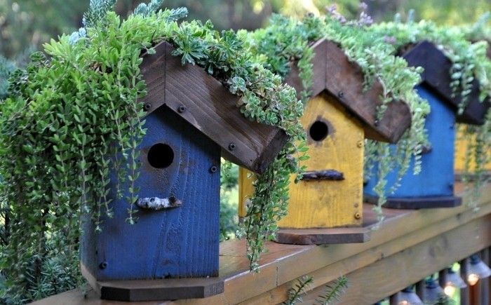 vogelzaad huis-eigen-build-a-Aid-bird house-can-you-de-hele-tuin-verfraaien met