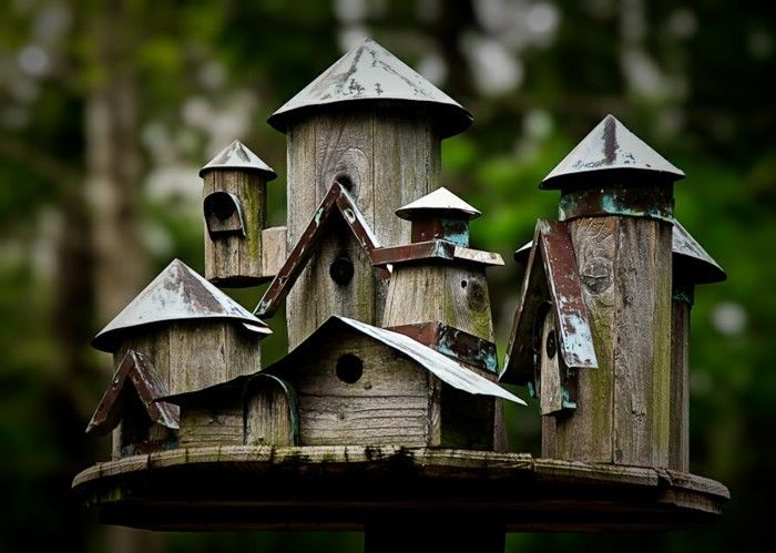 vogelzaad huis-eigen-build-dream-vogelzaad woningbouw
