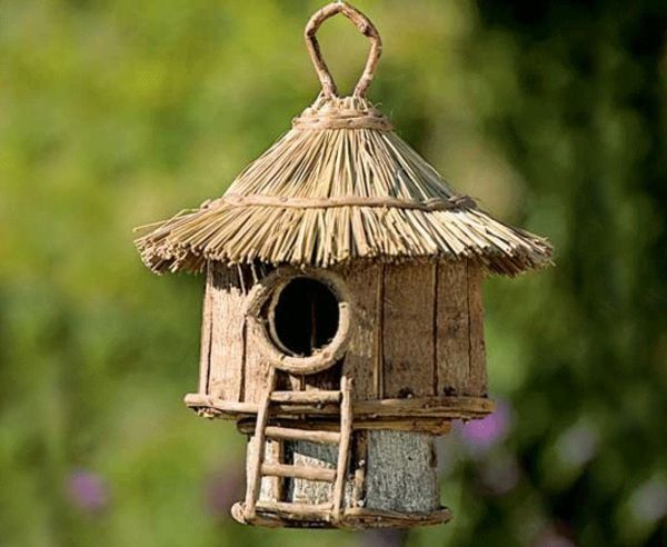 fågel hus-egen-build-creative-model-skogen