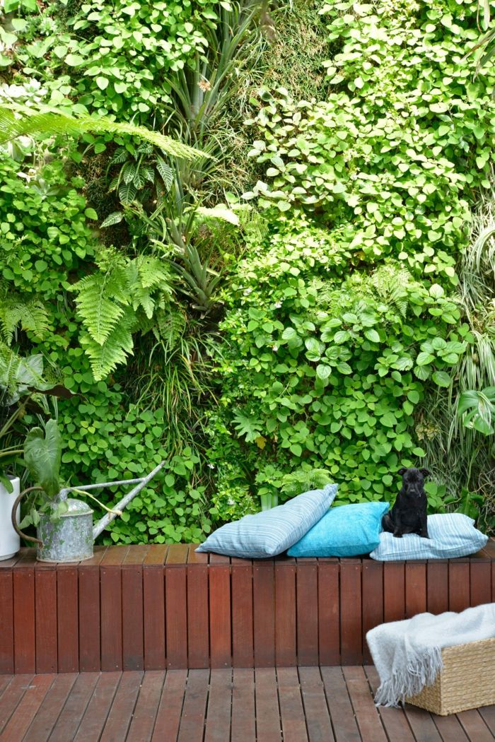 Záhrada ľahko udržiavať vertikálne záhrady zelenej steny lavice dosiek