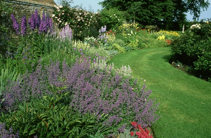 Lavender záhrada trávnik ako cesta mnoho kvetov robiť záhradu ľahko sa starať