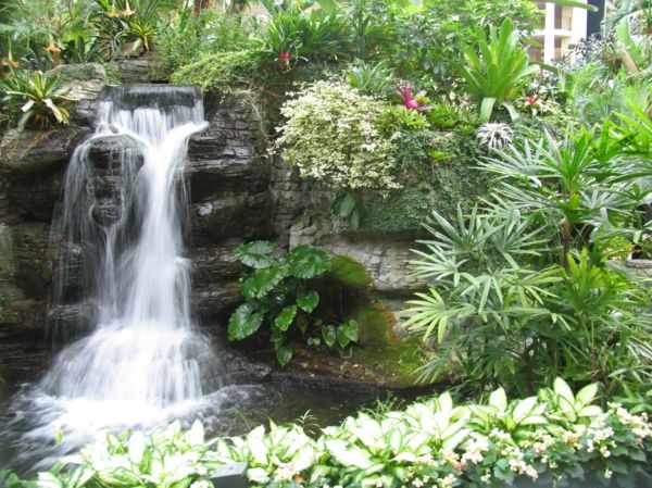 cachoeira-do-jardim-com-rico-flora