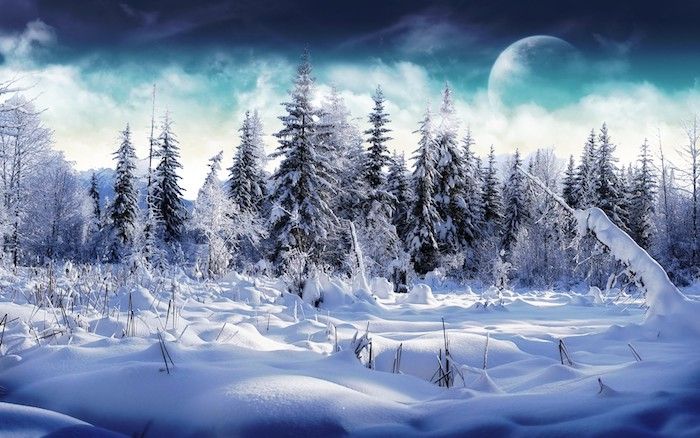 una foresta con molti alberi e neve - un cielo blu con nuvole bianche e una grande luna - immagini romantiche invernali