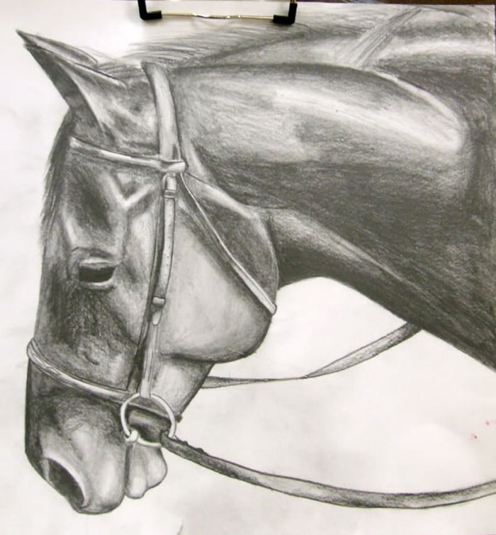Výkresy-s-ceruzka-a-krásne kone