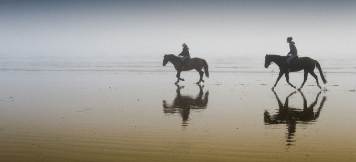 to vakre-hester-sin-Silhouette-Unique-bilder med